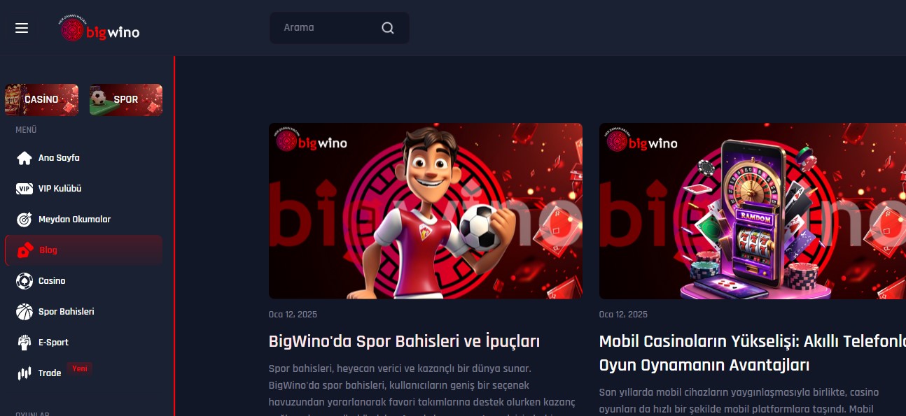 Bigwino Canlı Destek